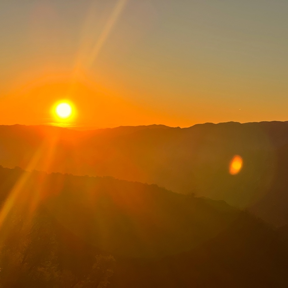 Meet your Posher, Llynx